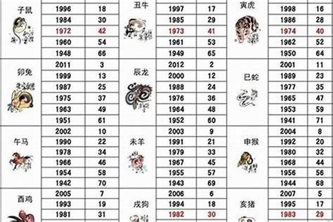 1960年農曆生肖|1960年出生属什么生肖 1960年属鼠是什么命